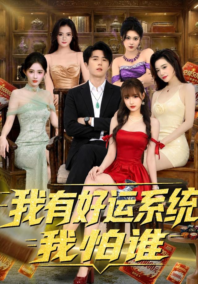 我有好运系统我怕谁海报